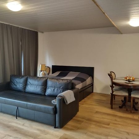 Spacieux Studio 38M2 Les Paccots Bagian luar foto