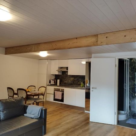 Spacieux Studio 38M2 Les Paccots Bagian luar foto