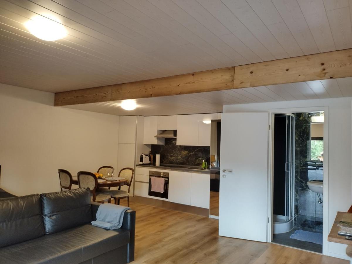 Spacieux Studio 38M2 Les Paccots Bagian luar foto